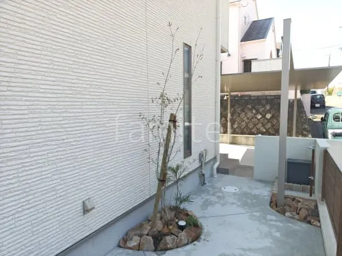 シンボルツリー アオダモ 落葉樹 植栽