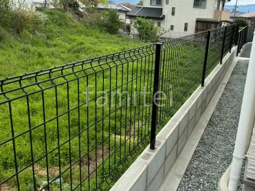 本体色 ブラック