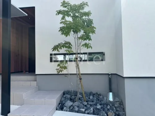 植栽 シンボルツリー 落葉樹 アオダモ ロックガーデン ゴロタ石敷き ユニソン ワズロック アオバ 立水栓 ユニソン スプレスタンド60 蛇口1個付き