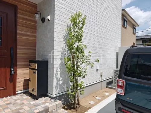 植栽 シンボルツリー 常緑樹 ソヨゴ
