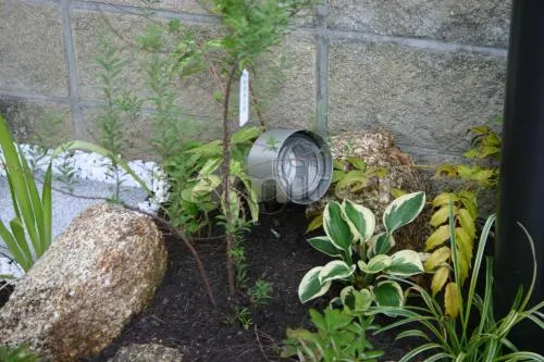 アプローチ花壇