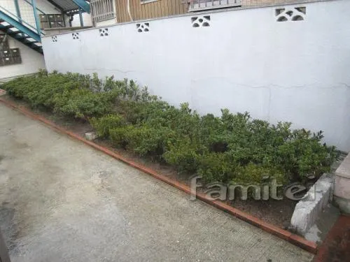 植栽　花壇整備