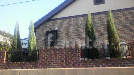 植栽工事　傾き修復と剪定