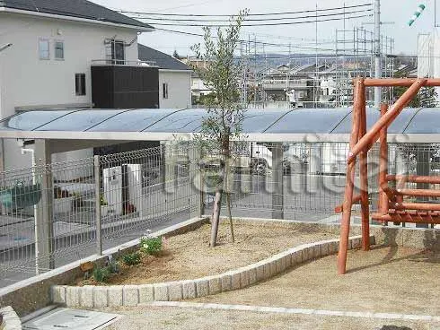 シンボルツリー:オリーブ(常緑樹)