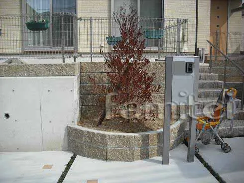 シンボルツリー:ポッププッシュプルプレア(常緑樹)