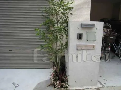 シンボルツリーパック　シマトネリコ(常緑樹)