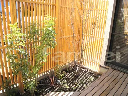 シンボルツリーパック:エゴノキ