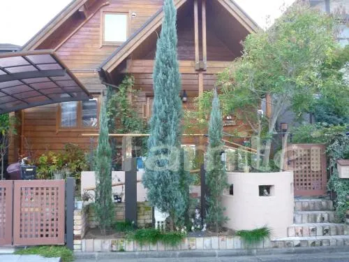 植栽　植え替え　ブルーヘブン