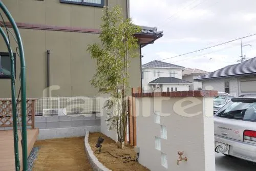 シンボルツリー 植栽 常緑シマトネリコ