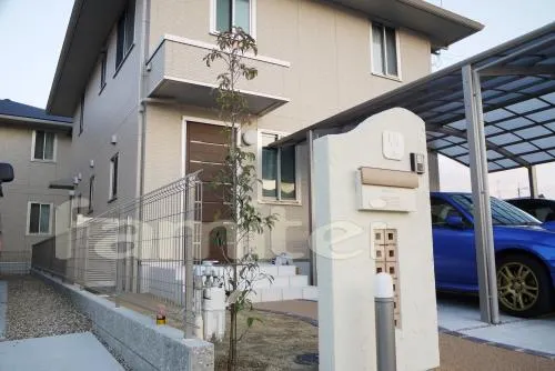 シンボルツリー 常緑ヤマボウシホンコンエンシス