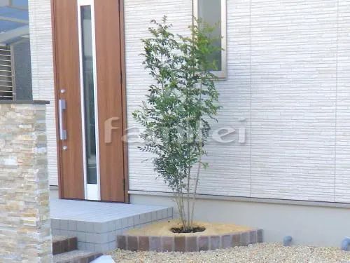 シンボルツリー シマトネリコ 常緑樹 植栽 レンガ囲い花壇 ユニソン ネストブリック ラスティブラウン