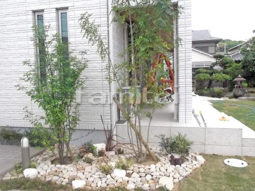 ロックガーデン シンボルツリー 右 シマトネリコ 常緑樹 左 クロモジ