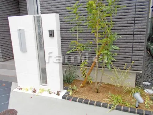 シンボルツリー シマトネリコ 常緑樹 下草 低木 植栽 ピンコロ石花壇