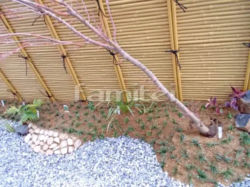 坪庭 下草 低木 植栽