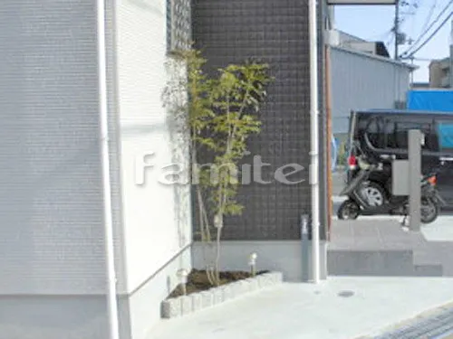 シンボルツリー シマトネリコ 常緑樹 植栽 ピンコロ石花壇