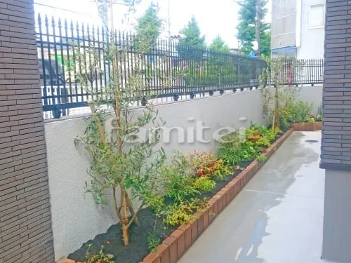 シンボルツリー オリーブ 常緑樹 下草 低木 植栽