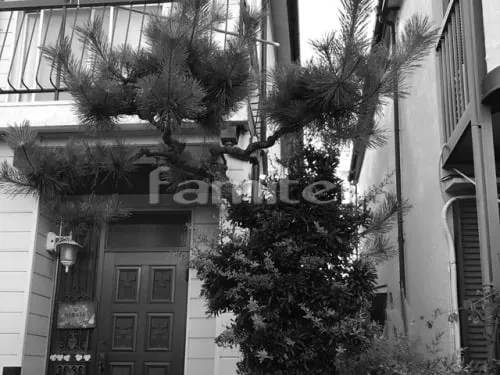 おがたけいこ　　フランチェスカの白い庭 こえだちゃん PUCHI KOEDA GARDEN HEIGHTS プチこえだ ガーデン