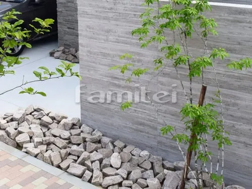 シンボルツリー アオダモ 落葉樹 植栽 ゴロタ石 OnlyOneオンリーワン 割丹波ゴロタ