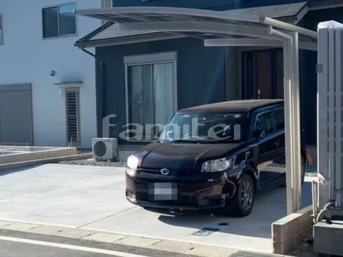 本体色 プラチナステン