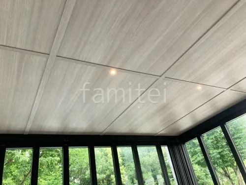 オプション ダウンライト