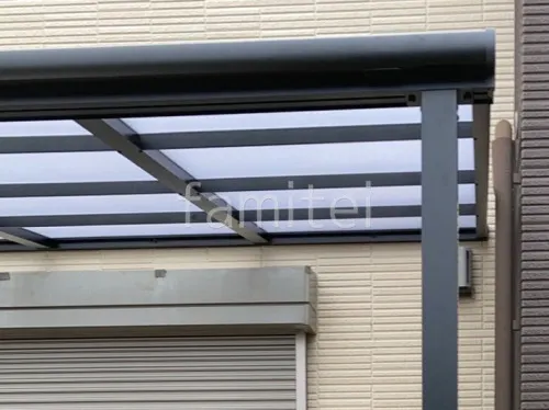 本体色 ブラック