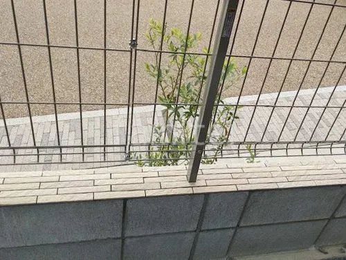 本体色：HAL-25B CMX-2