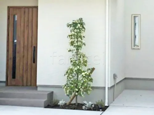 門柱 壁タイル貼り タカショー セラウォール RC杉板 郵便受け