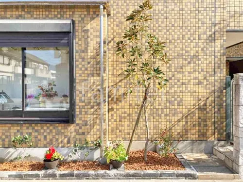 シンボルツリー タイサンボク リトルジェム 常緑樹 植栽の外構施工例