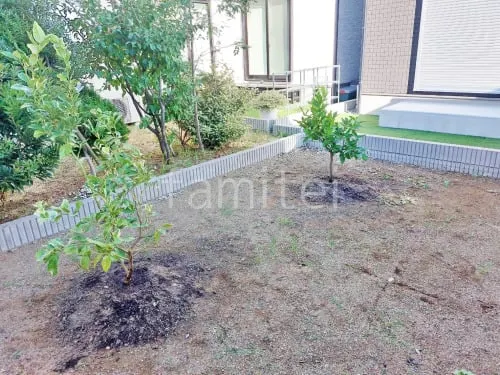 シンボルツリー レモン レモネード 常緑樹 植栽