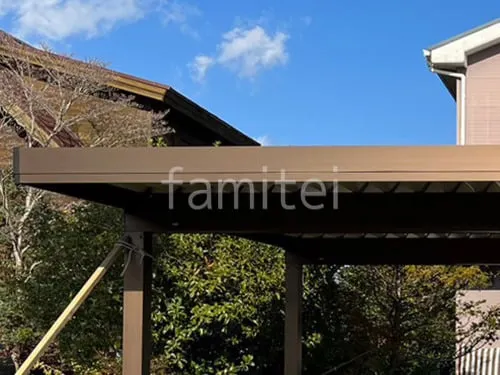 本体色 ブラウン