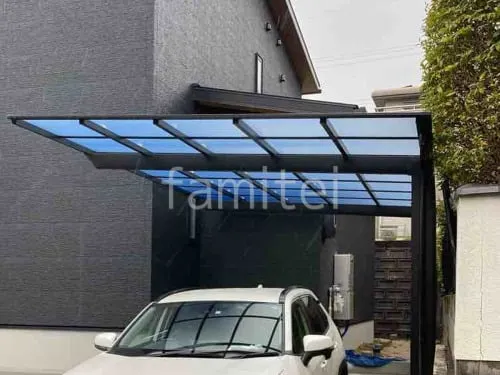 本体色 ブラック