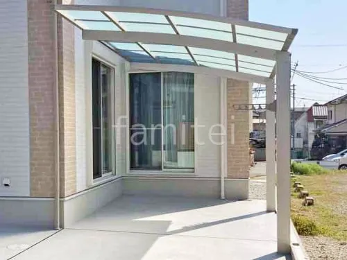 本体色 プラチナステン