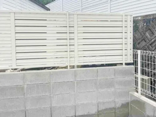 本体色 ホワイト