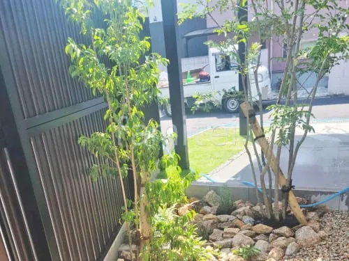 シンボルツリー