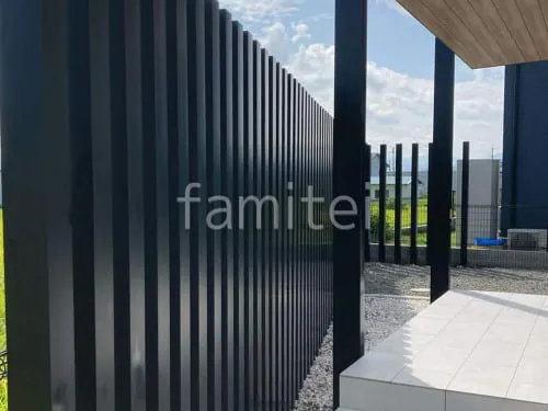 本体色 ブラック