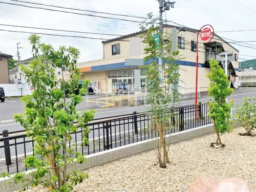 シンボルツリー シマトネリコ ホンコンエンシス