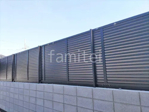 本体色 ブラック