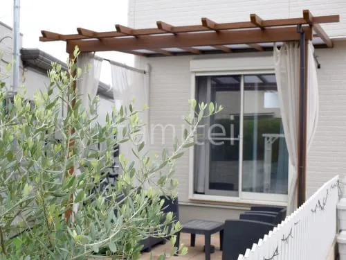 本体色 キャラメルチーク