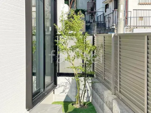 シンボルツリー シマトネリコ 常緑樹 植栽 ロックガーデン ユニソン