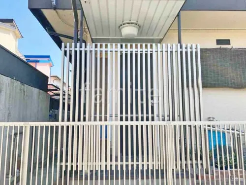 本体色 プラチナステン