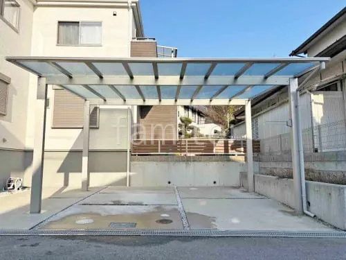 本体色 プラチナステン