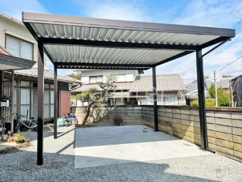 本体色 ブラック