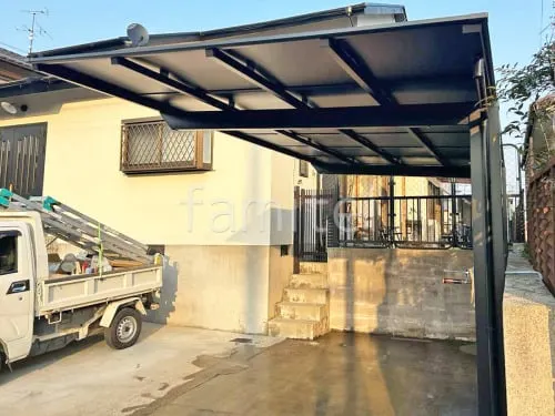 本体色 ブラック