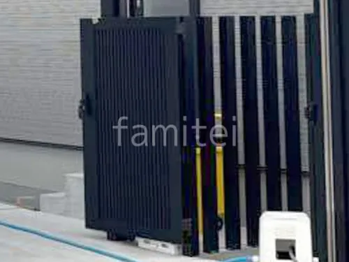 本体色 ブラック