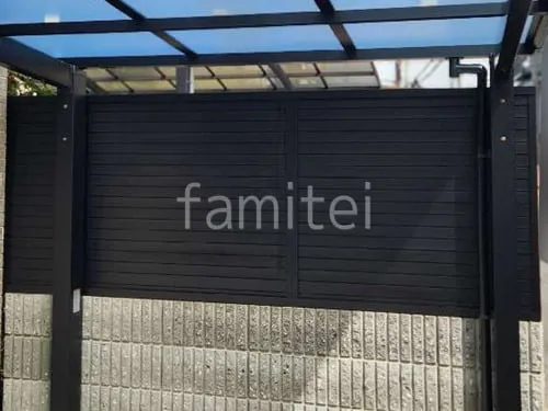 本体色 ブラック