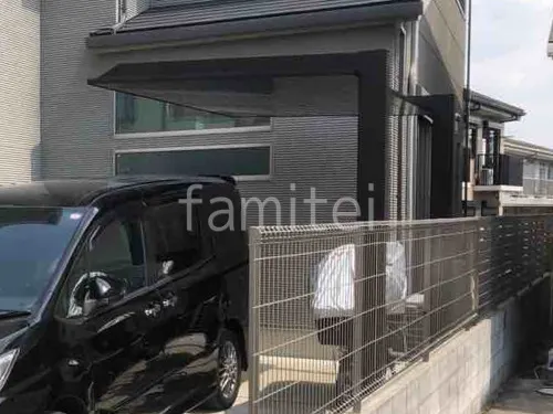 本体色 ブラック