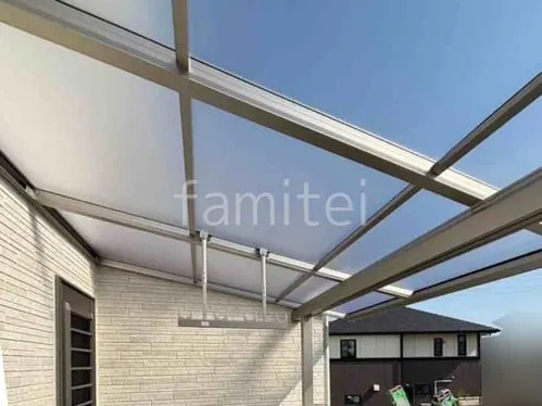 本体色 プラチナステン