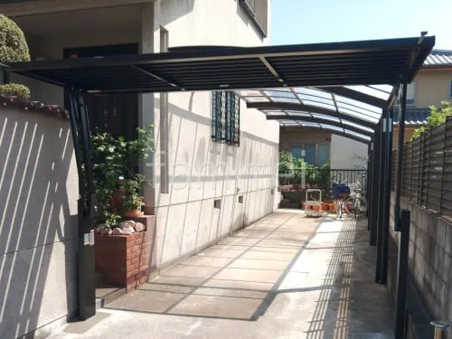 本体色 ブラック