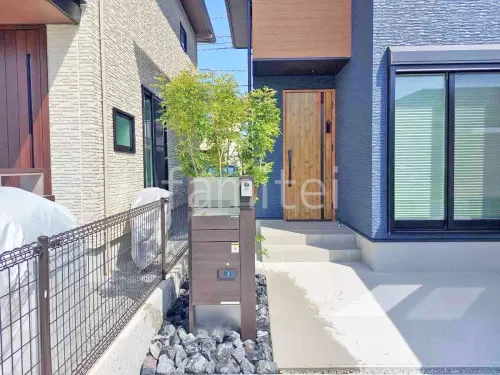 シンボルツリー   シマトネリコ 