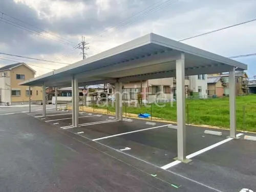 本体色 プラチナステン